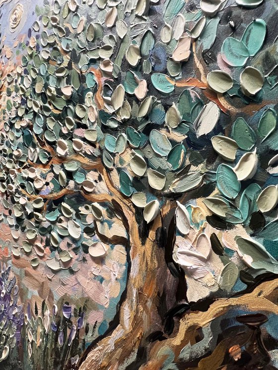 Lavender and Olive Trees
