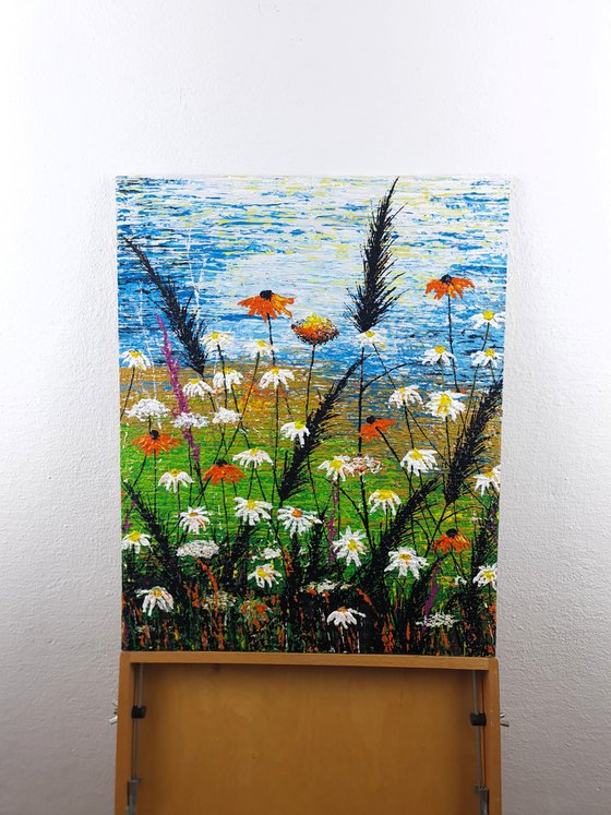 Daisy magic meadow