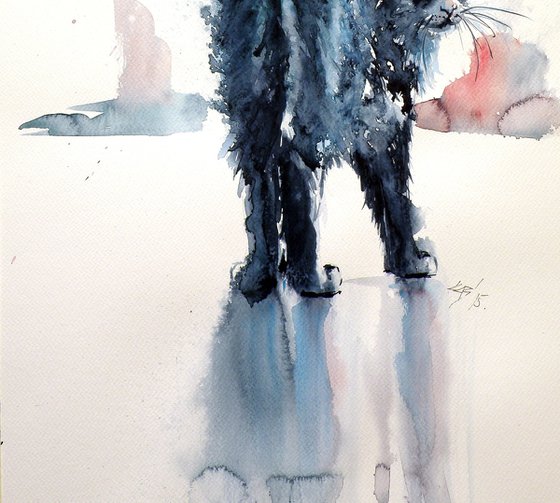 Black cat watching