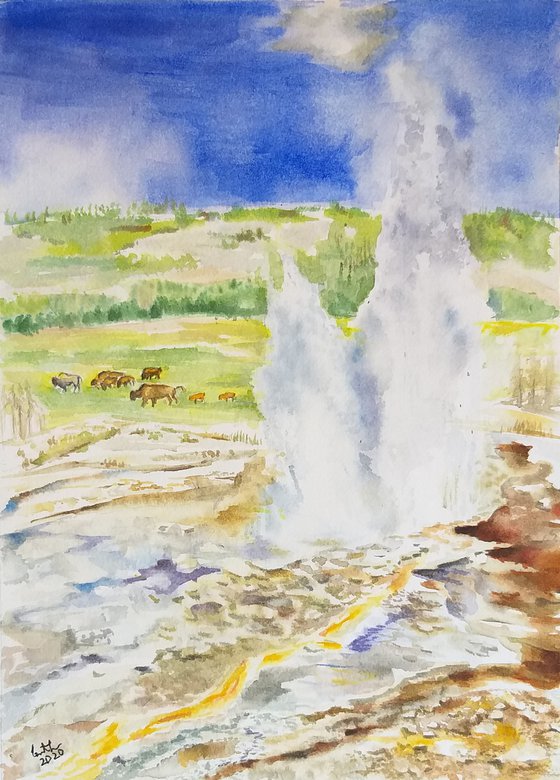 Yellowstone national park