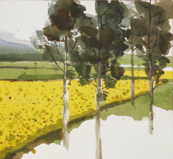 Yellow green composition 7