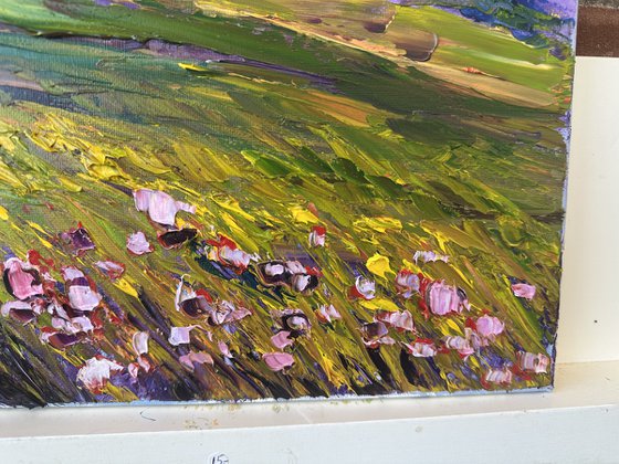 Pink clouds and pink flowers