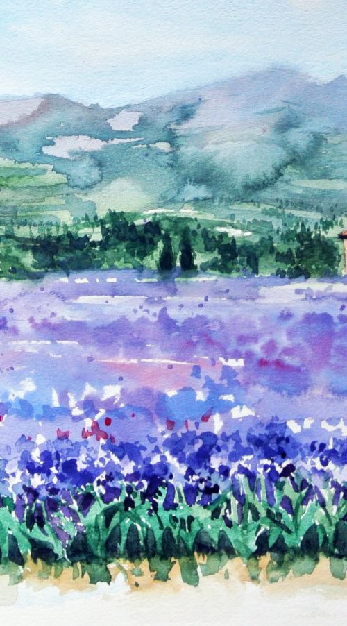 Iris Fields by Ksenia Astakhova