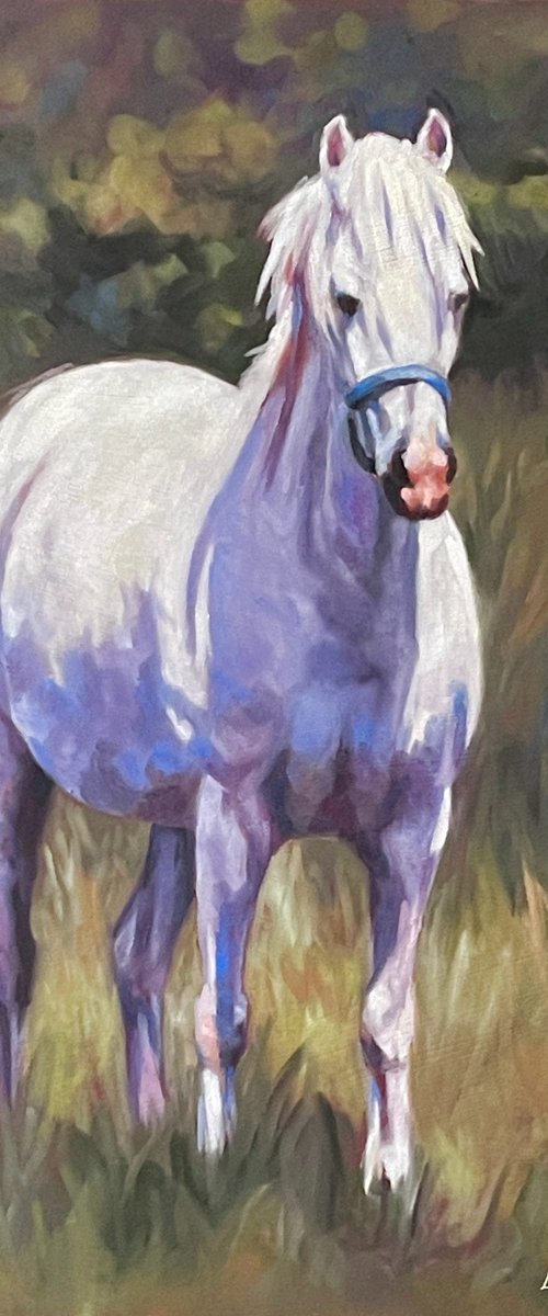 Summer Day - White Pony by Lorna Lancaster ASEA