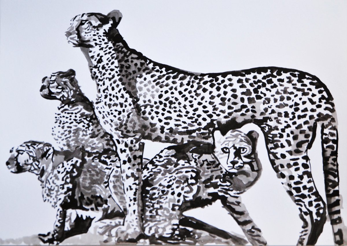 Wild cats / 42 x 29.7 cm by Alexandra Djokic