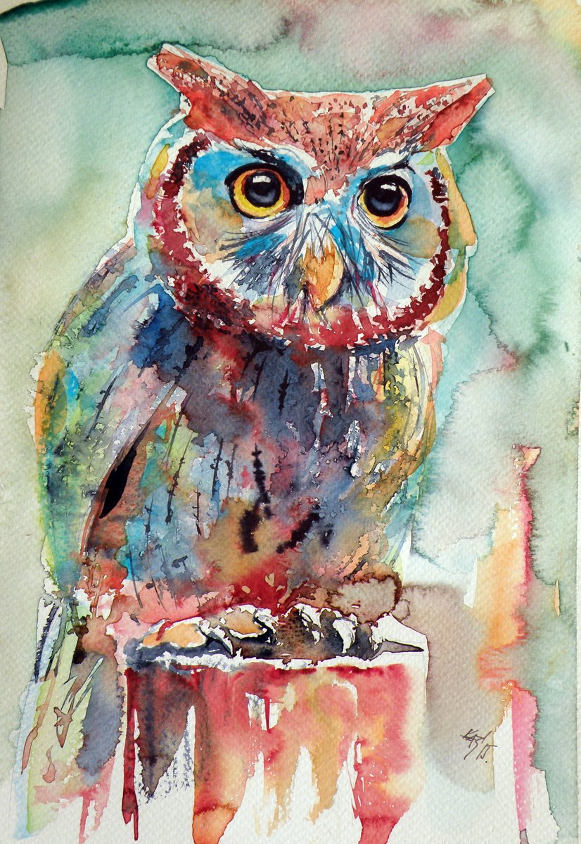 Colorful owl II /30 x 21 cm/ by Kovcs Anna Brigitta