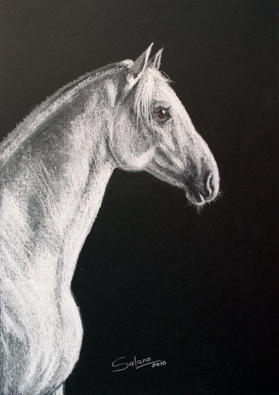 Horse V / Original Painting