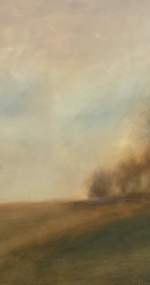Autumn’s Soft Light by Jessica Davidson