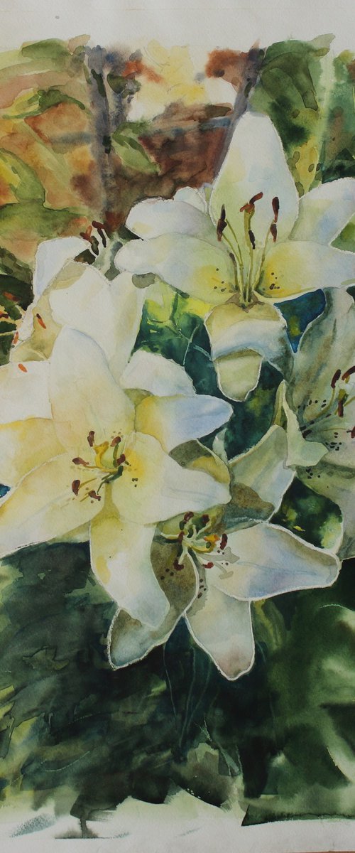 White lilies by Yurii Pashkov