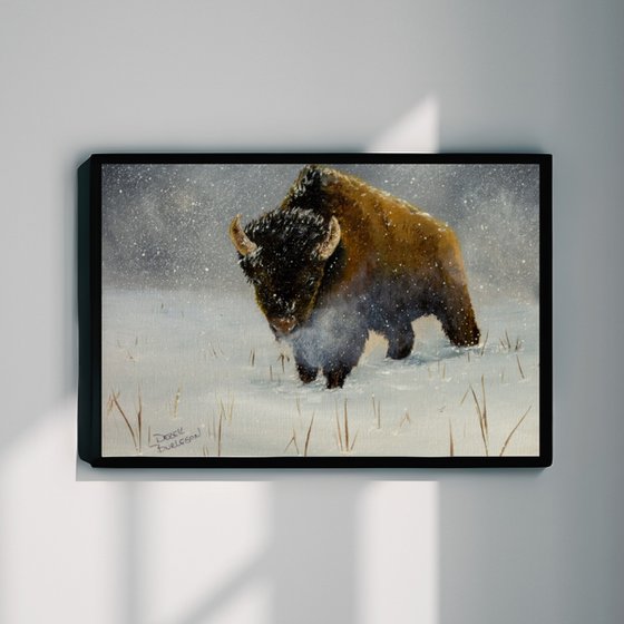 Kansas Bison