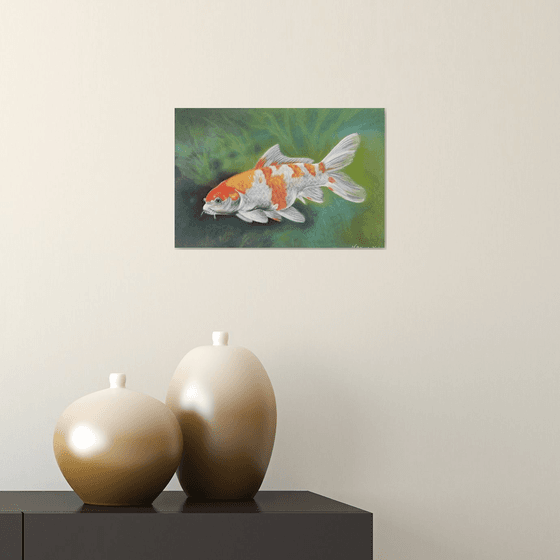 Koi fish