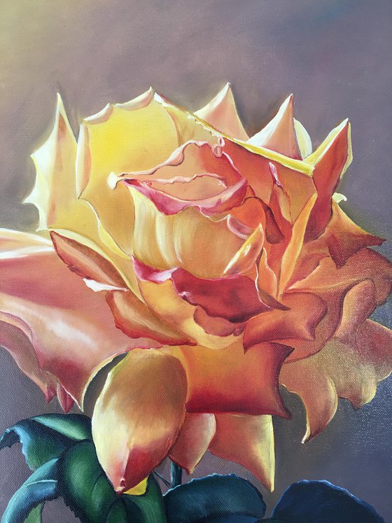 Rose