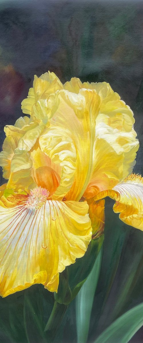 Realism floral painting:yellow flowers t204 by Kunlong Wang
