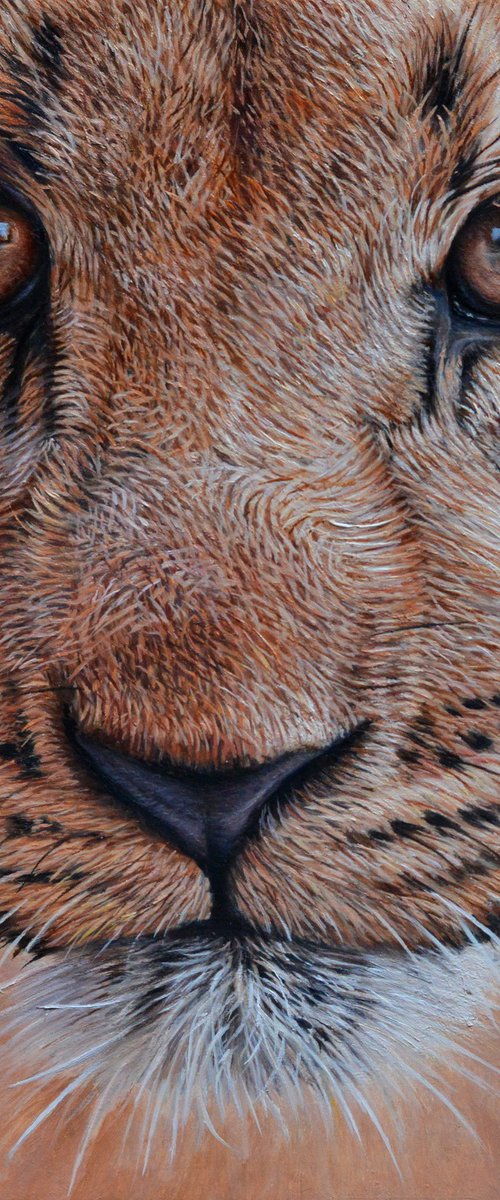 Simba by Sam Dolman