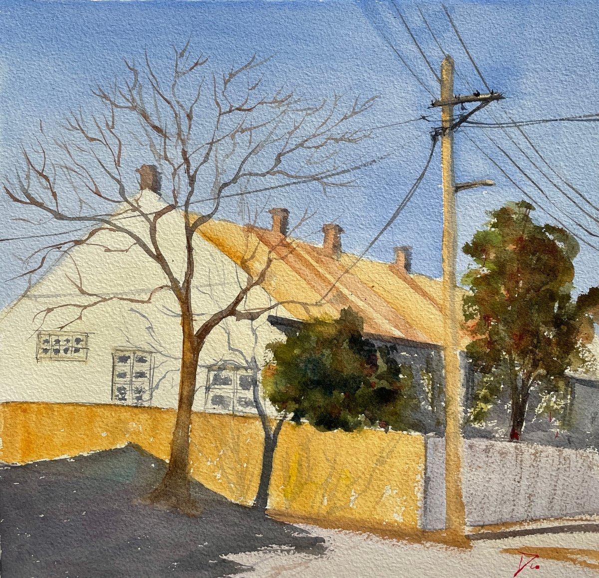 A corner at North Sydney by Shelly Du