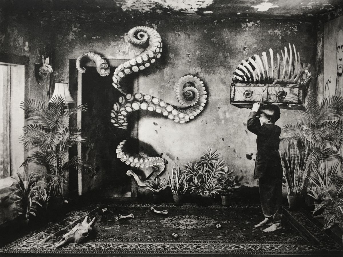 Surrealistic Animal Etchings & Engravings By Jaco Putker, 13 X 10, Interior No.52, Original Artwork