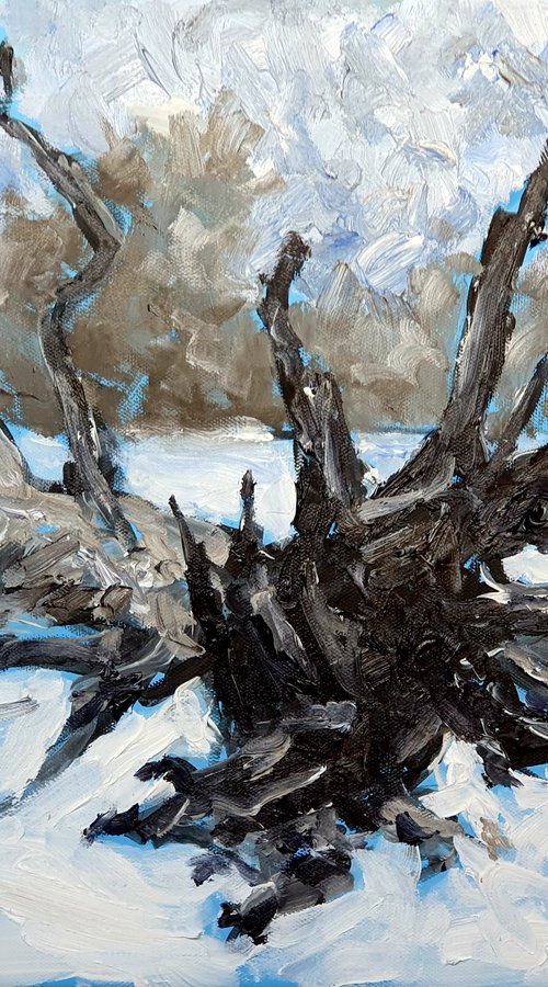 Dead trees  in winter 1 by Colin Ross Jack