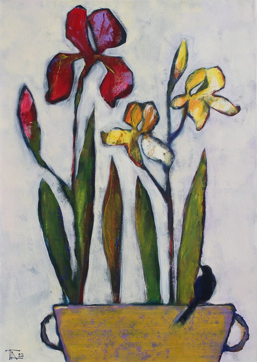 Irises have blossomed. by Tatjana Auschew