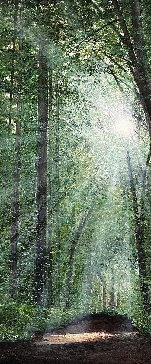 Nature's Light by Victoria Obolensky