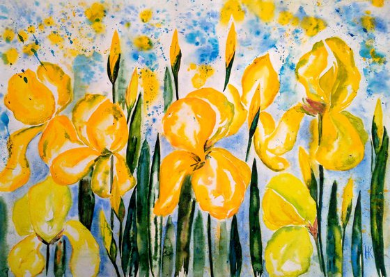 Irises original watercolor painting