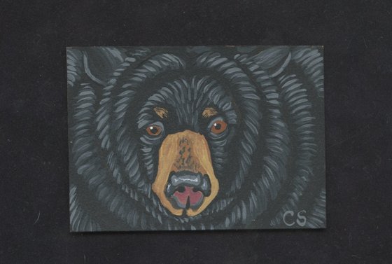 ACEO ATC Original Miniature Painting Black Bear Wildlife Art-Carla Smale