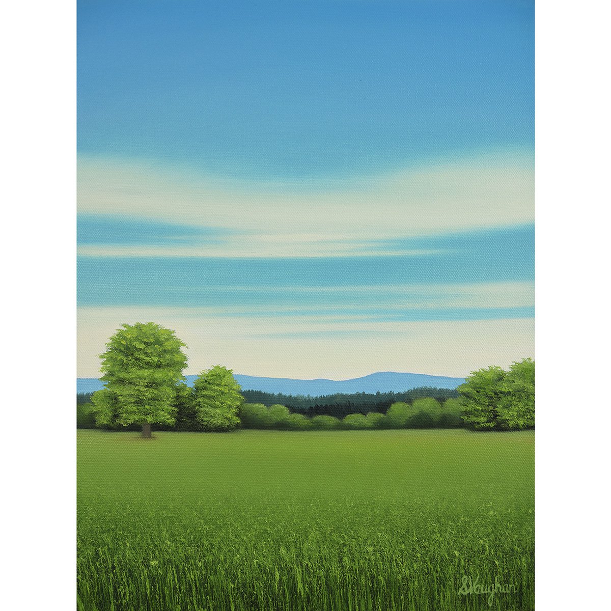 Grassy Meadow - Blue Sky By Suzanne Vaughan, 12 X 16, Artwork For Sale On Artfinder