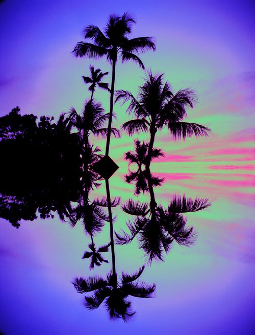 Tropical Palm Tree by Georgia Fitzgerald