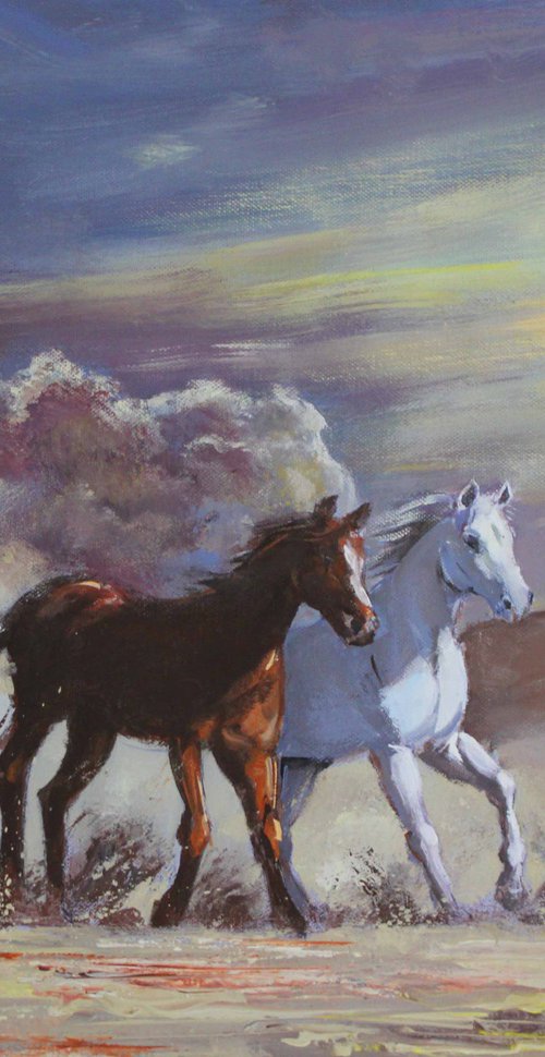 At a gallop by mir-jan