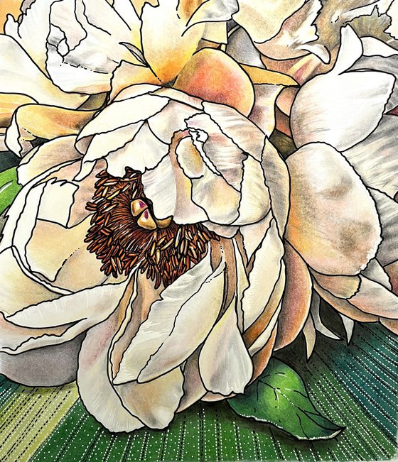 Peach Peony