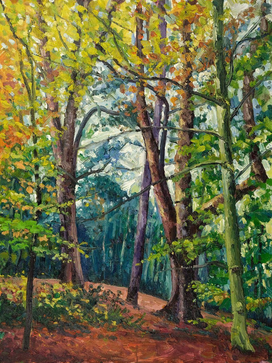 Expressive Landscape Oil Painting By Jeff Parker, 12 X 16, Autumn, Yearsley Woods, Original Artwork