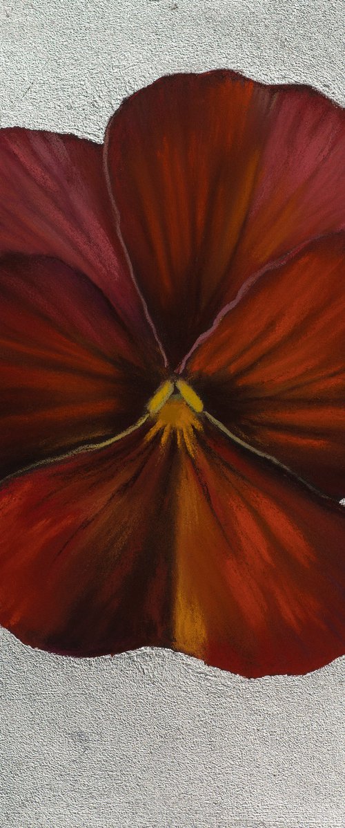 Pansy #11 by Oxana Babkina