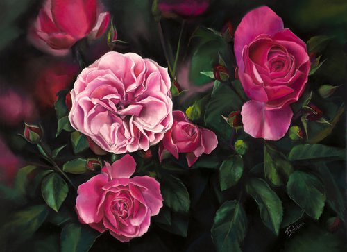 Pink Roses by Oxana Babkina