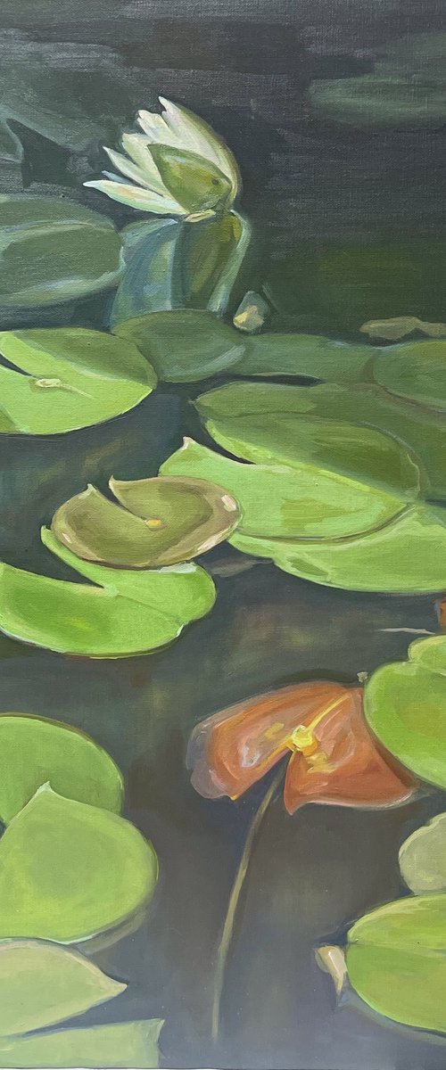 Green pond by Guzel Min