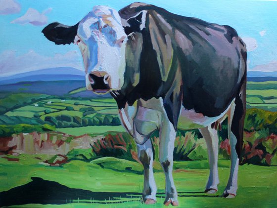 Gower Cow
