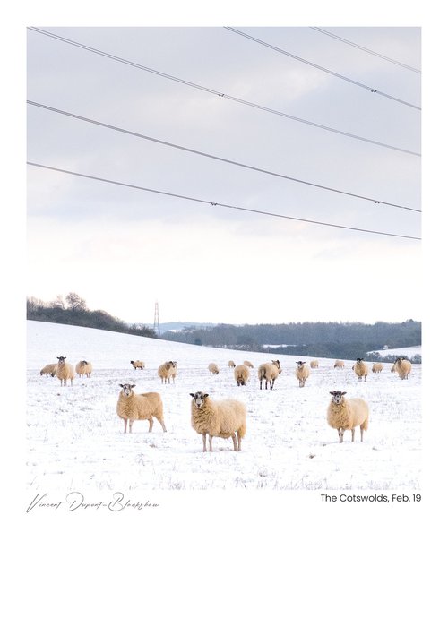 The Cotswolds, Feb. 19 by Vincent Dupont-Blackshaw