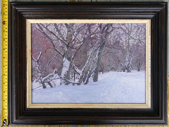 February. Alley in Tsaritsyno Park