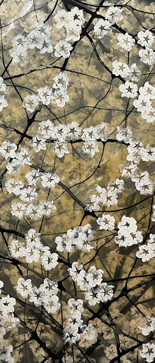 Cherry Blossom by Robin Eckardt