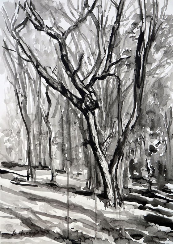 Old tree in autumn park (ink)