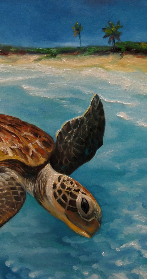 Caribbean Turtle III by Nadia Bykova