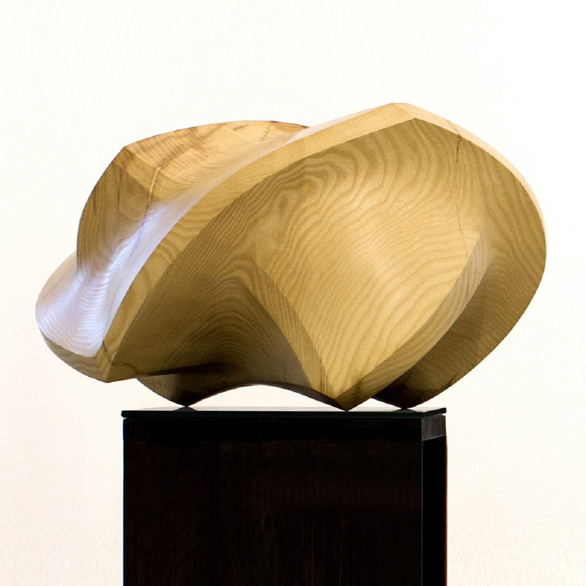 Organic Abstract Wood Sculpture By Nikolay Martinov, 20 X 11", "Knots", Original Artwork