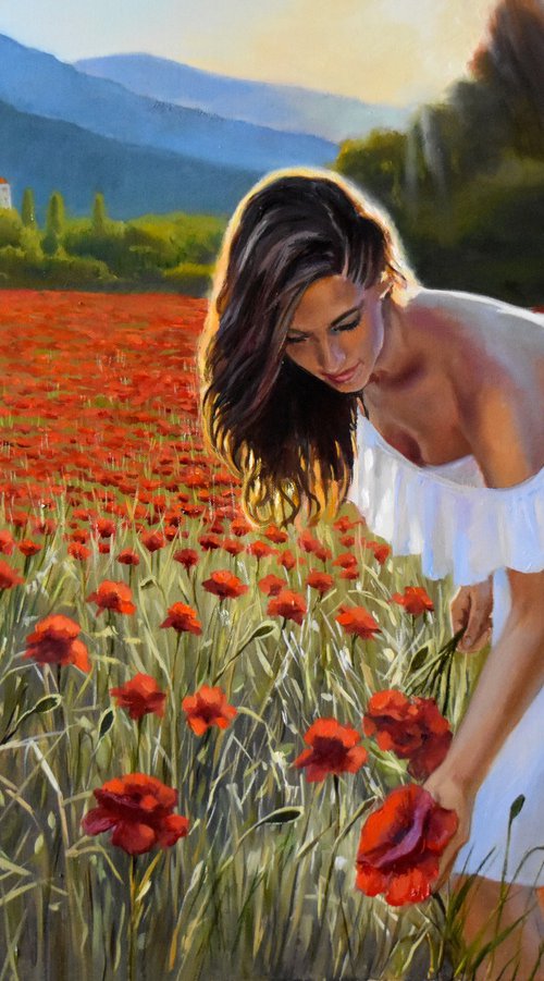 The field of red poppies by Serghei Ghetiu