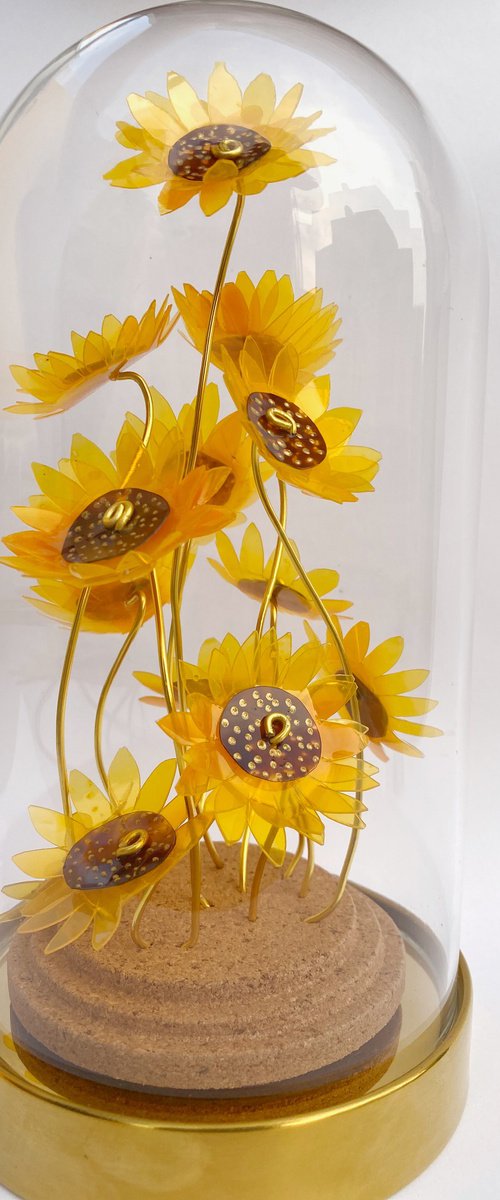 You are my sunshine by Swapna Namboodiri