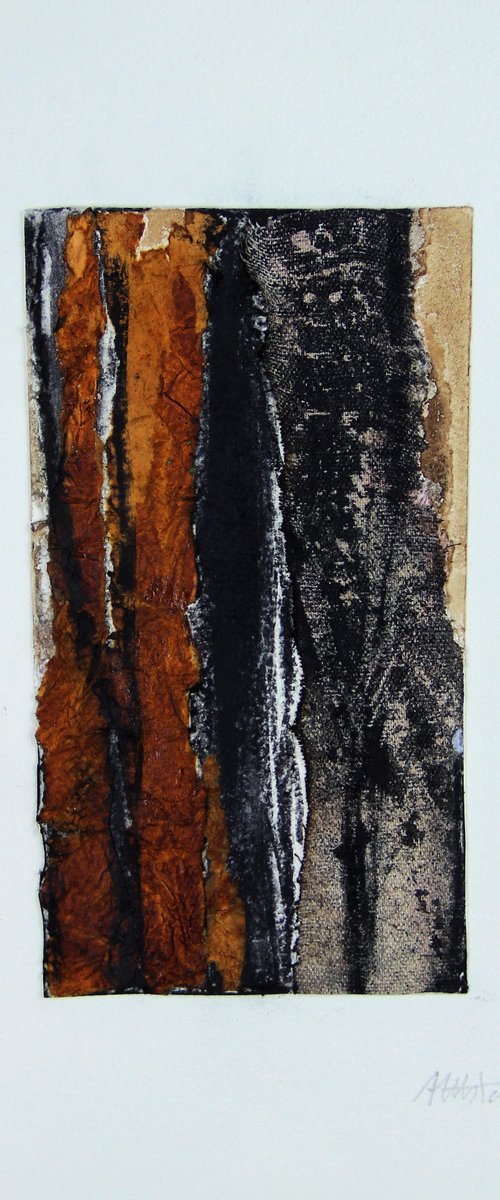 Bark by Assumpció Mateu