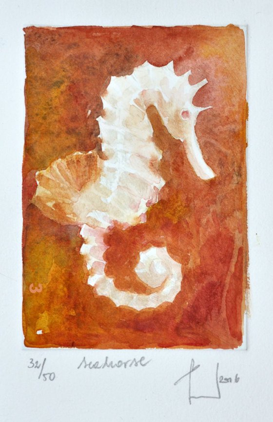 SEAHORSE etching and finishing touch of watercolor (2016)