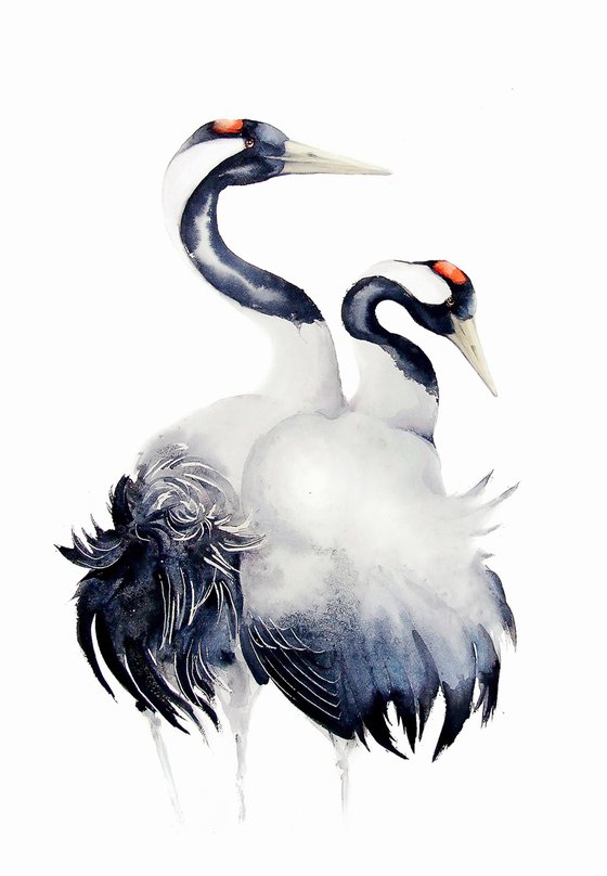 Common Cranes,  bird, birds, animals, wildlife watercolour painting