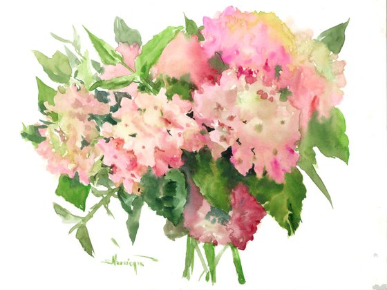 Pink Hydrangea Flowers