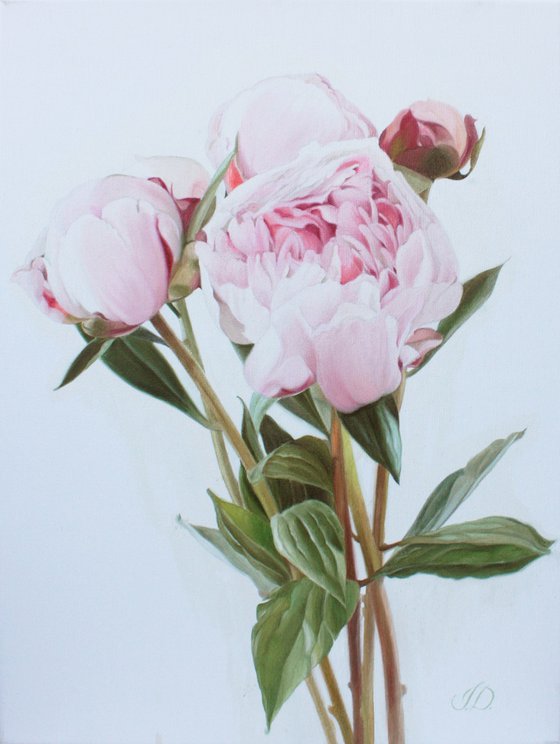 Small bouquet of pink peonies