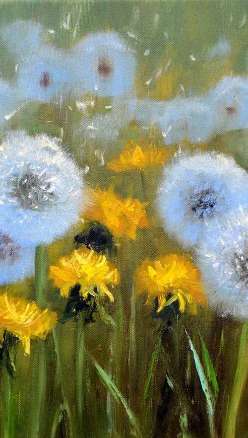 Delicate dandelions by Elena Lukina