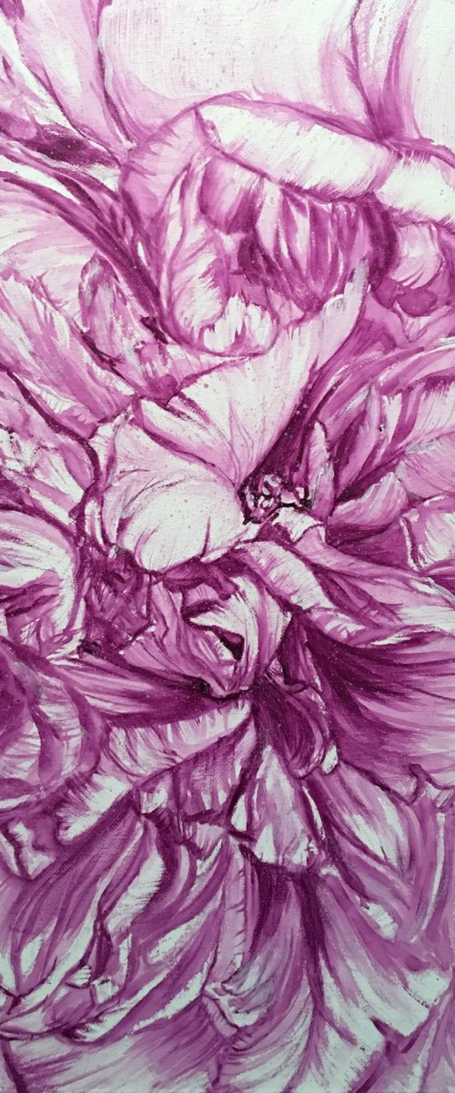 PEONY IN MAUVE by HSIN LIN