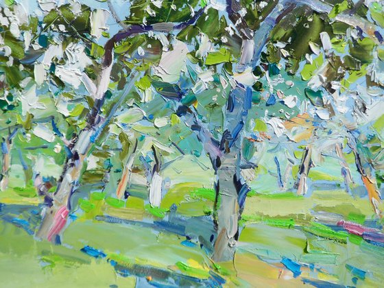 " Apple orchards"